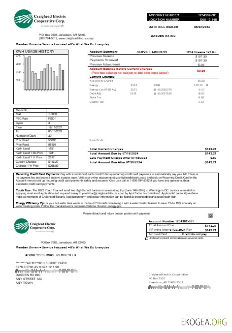 Modèle de facture de services publics d'entreprise USA Craighead Electric aux formats Word et PDF